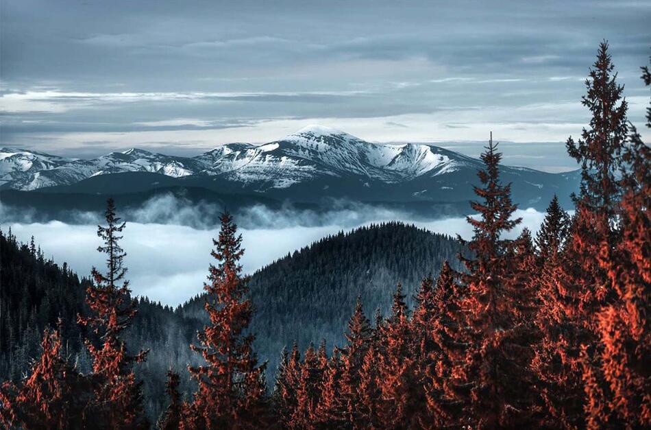 говерла