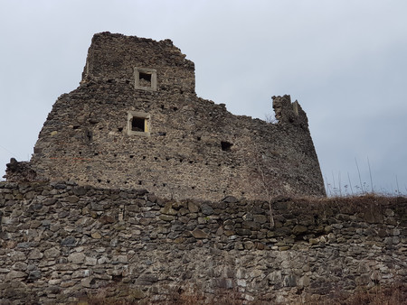 Невицький Замок