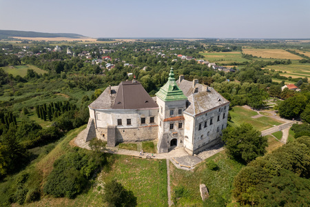 Олеський замок - фото