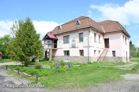 Долина Нарцисів - фото