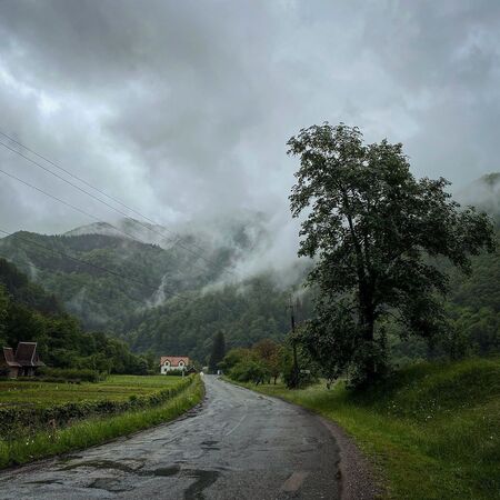 село Ділове - фото